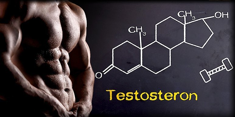 Testosteron - charakterystyka, funkcje, objawy niedoboru i nadmiaru