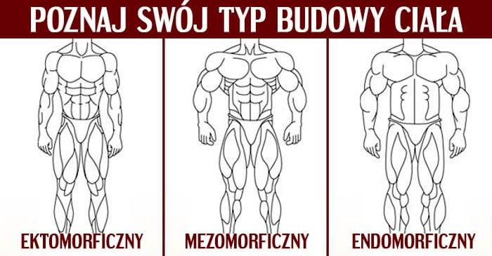Trzy typu budowy ciała
