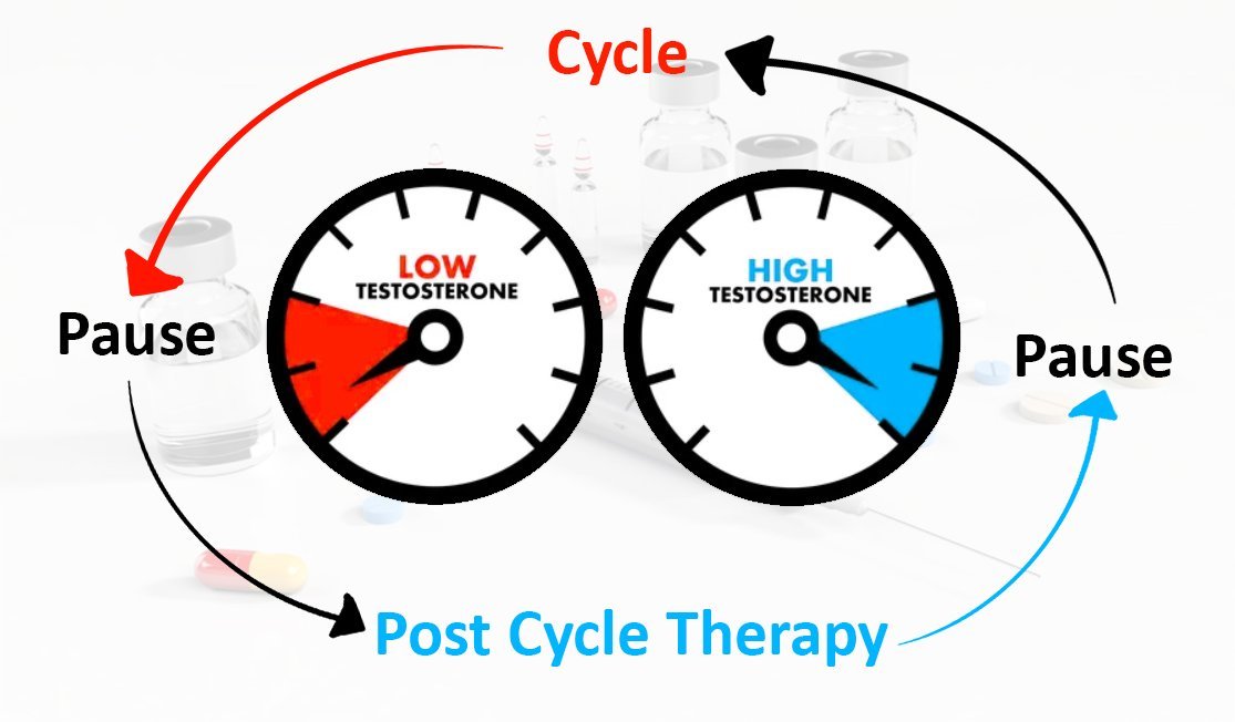 Jak zaplanować cykl sterydowy?