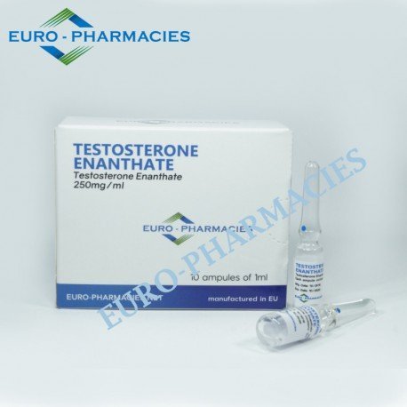 Testosteron Enanthate w ampułkach 1ml